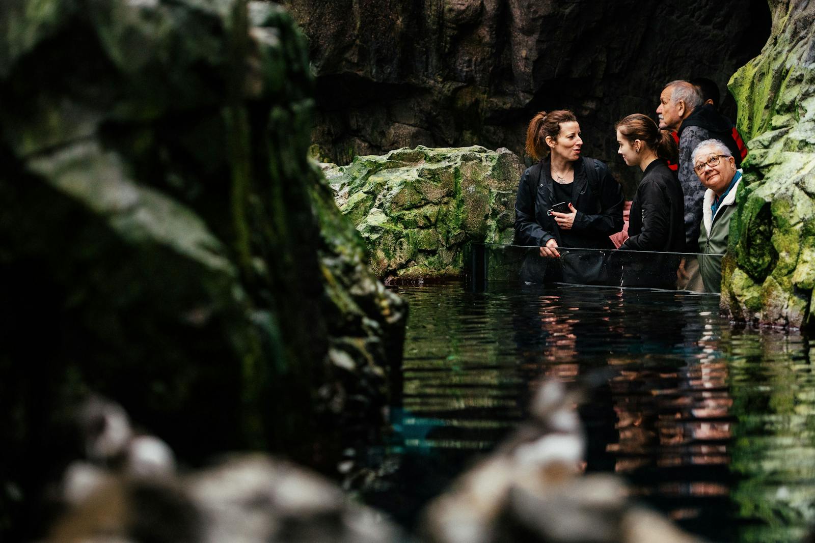 Besøkende observerer fisk i Oceanarium i Lisboa