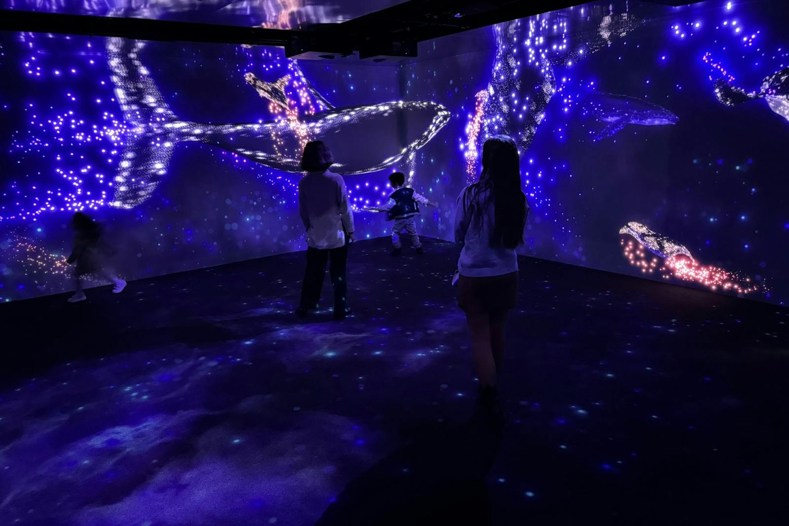 Besøkende fascinert av de lysende hvalene i Oceanarium i Lisboa