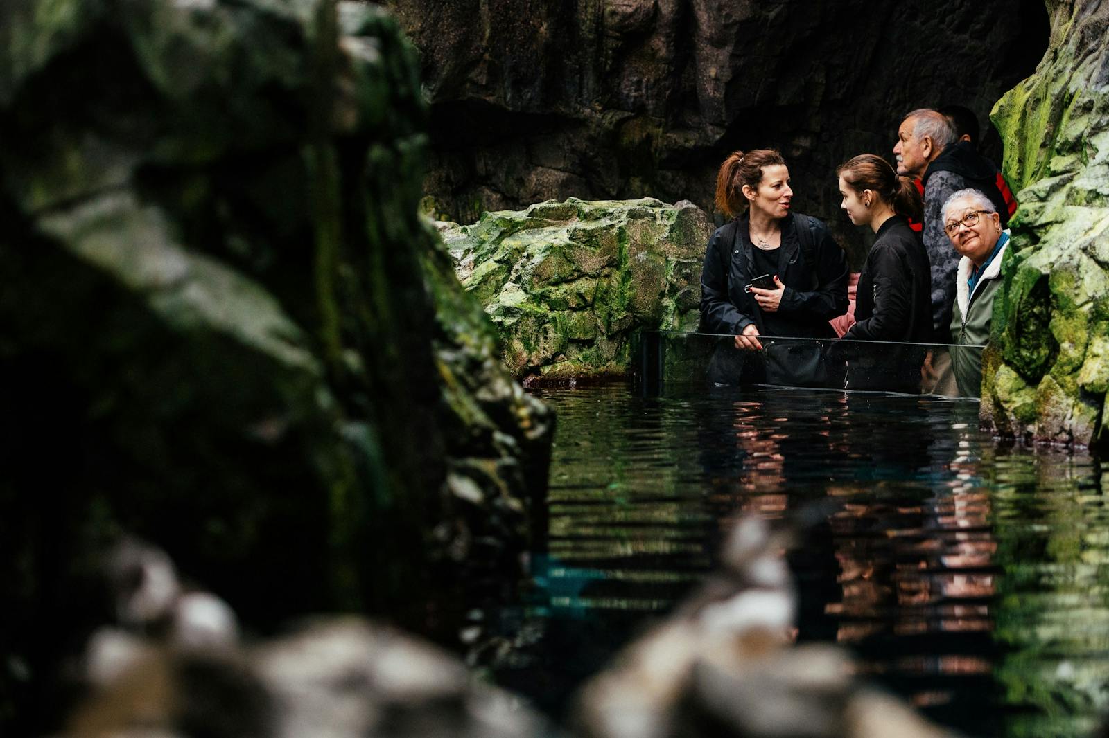 Odwiedzający obserwujący ryby w Oceanarium Lizbońskim